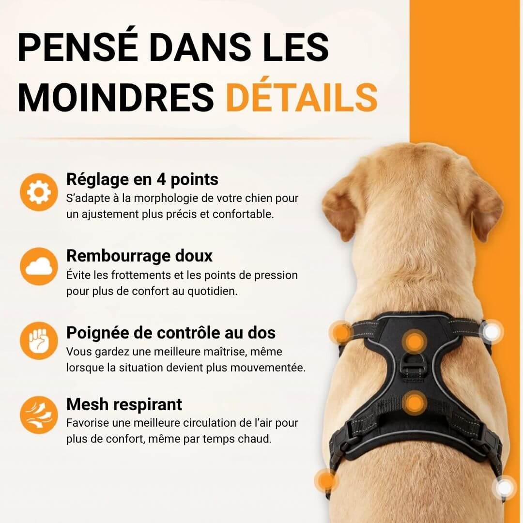 Nexo™ – Harnais anti-traction pour chien