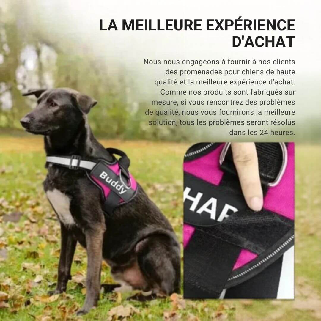 Kyro™ - Harnais personnalisé anti-traction