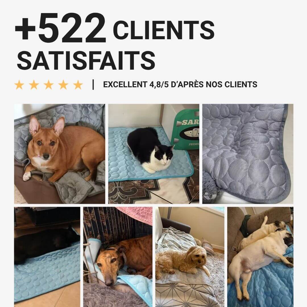 Fresko™ – Tapis rafraîchissant pour animaux
