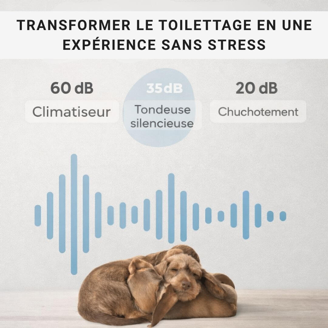PawTrim™ – Tondeuse pour pattes d’animaux