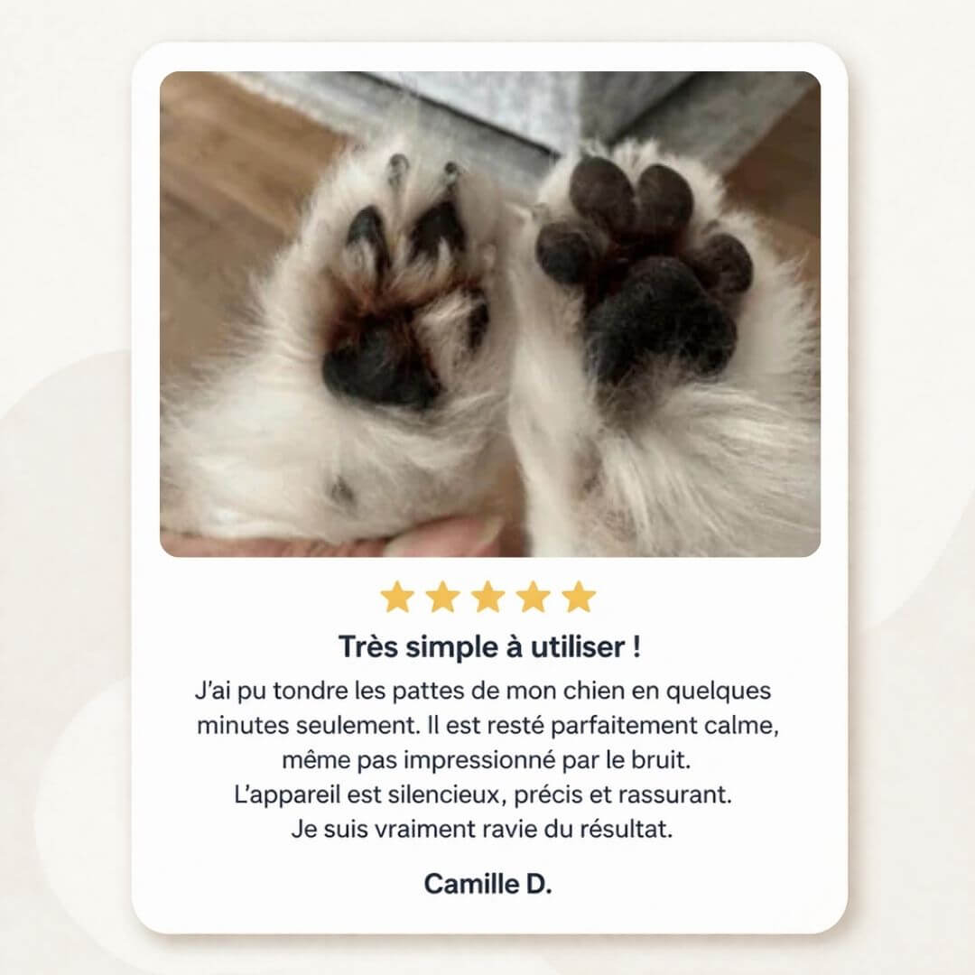 PawTrim™ – Tondeuse pour pattes d’animaux
