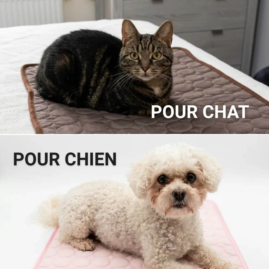 Fresko™ – Tapis rafraîchissant pour animaux