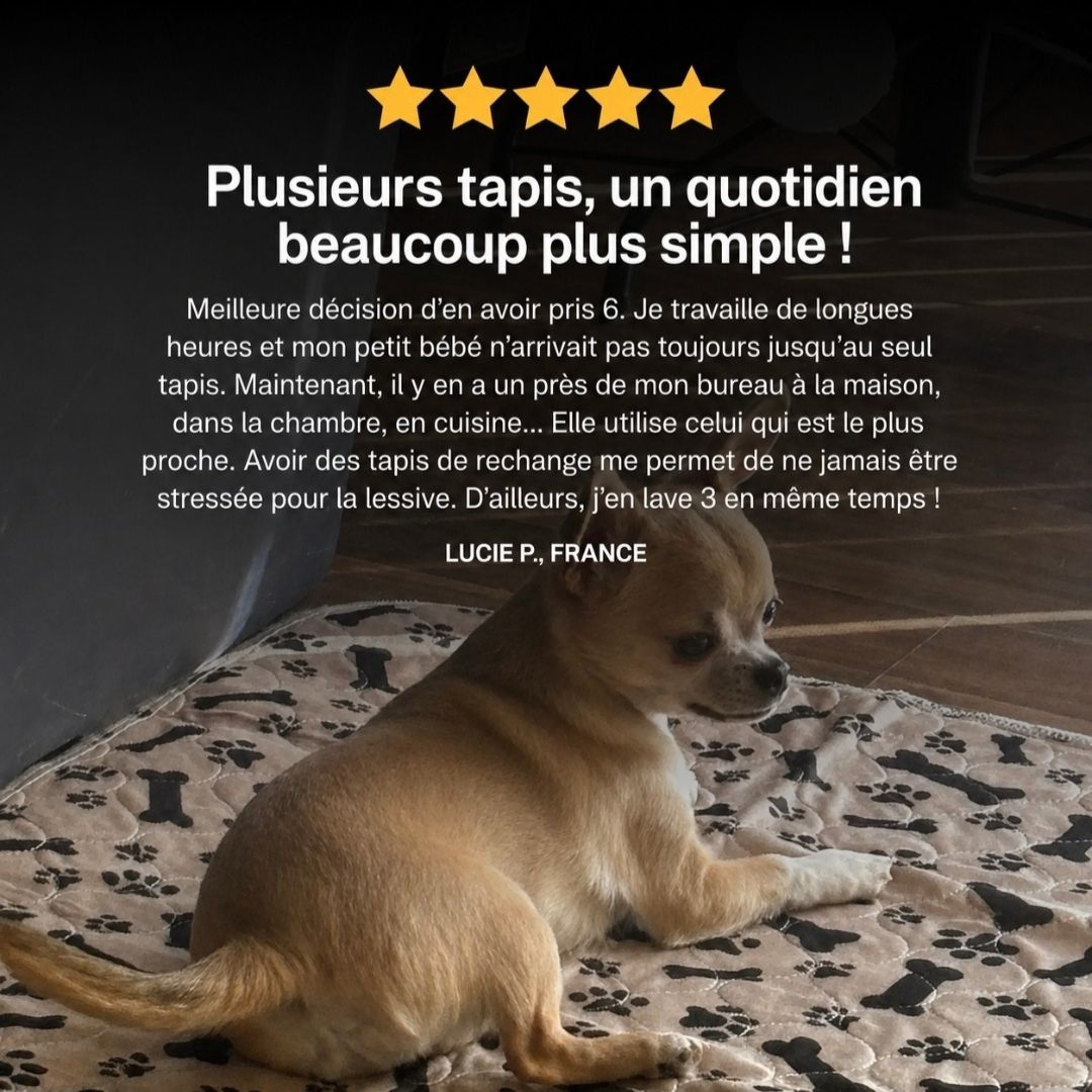 CleanPaw™ – Tapis hygiénique pour chiens et chats