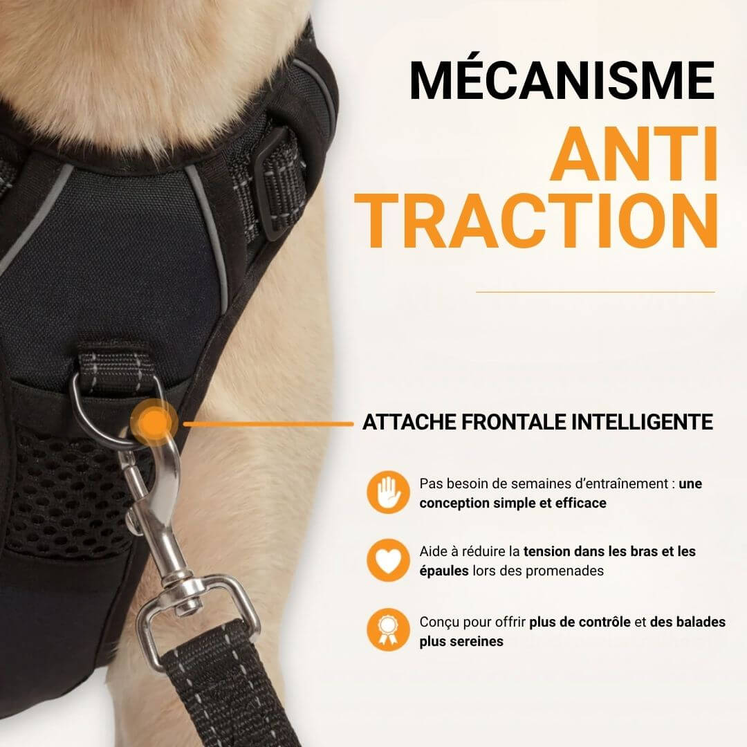 Nexo™ – Harnais anti-traction pour chien