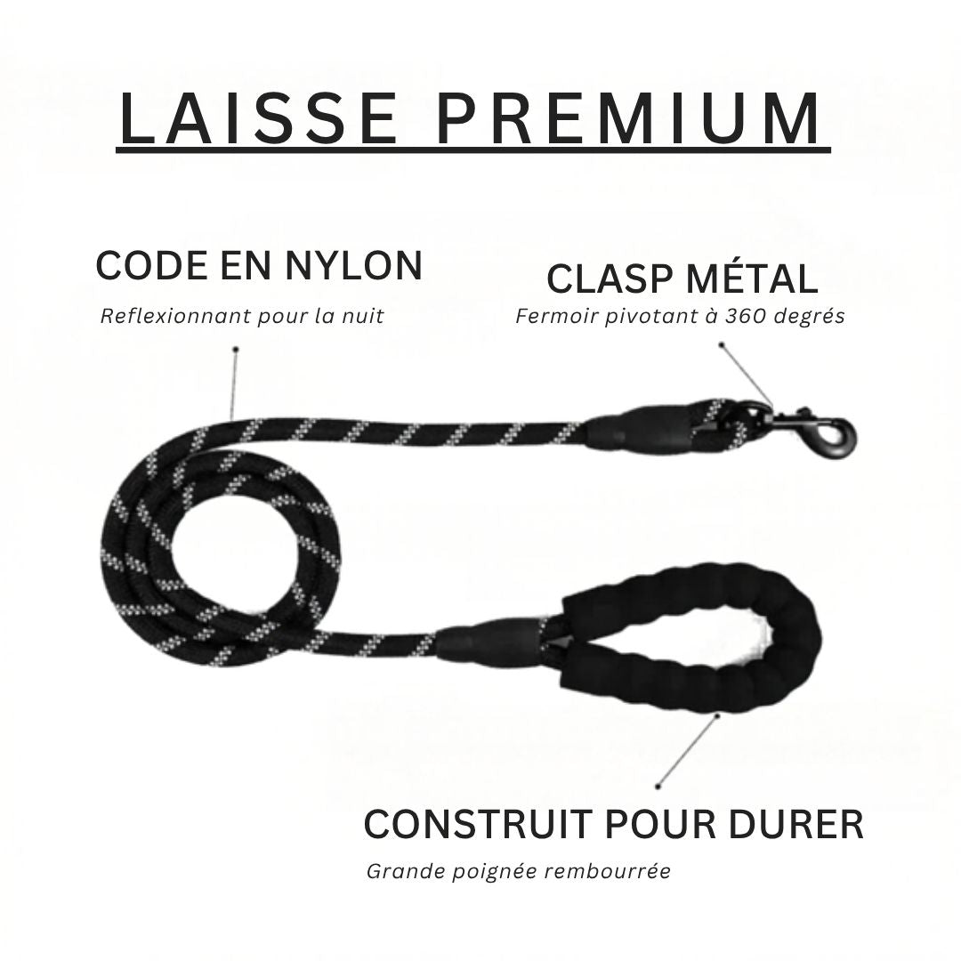 Laisse Premium