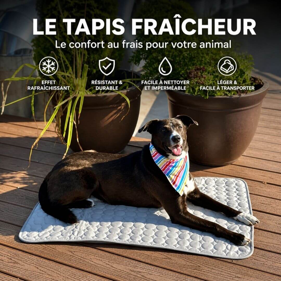 Fresko™ – Tapis rafraîchissant pour animaux