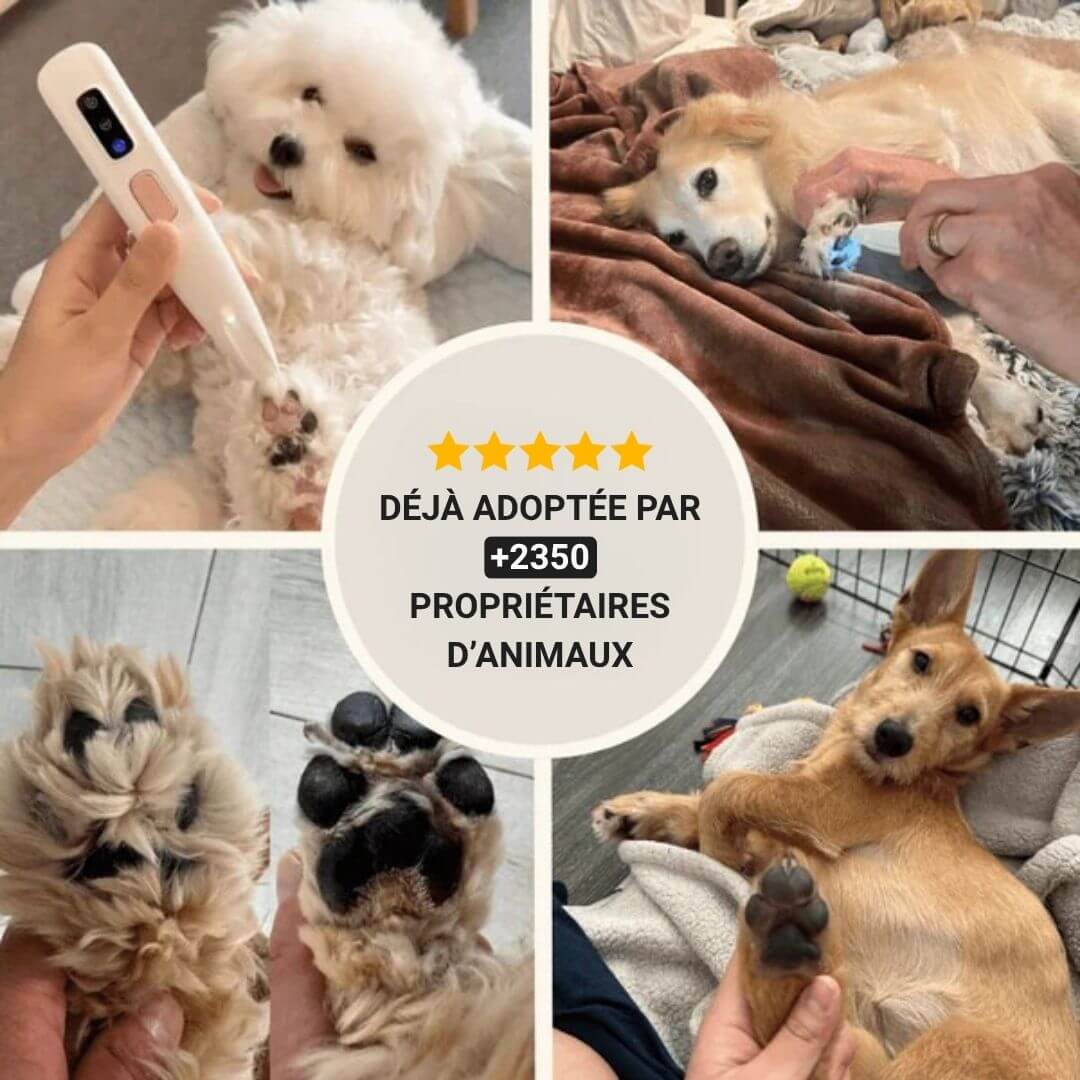 PawTrim™ – Tondeuse pour pattes d’animaux