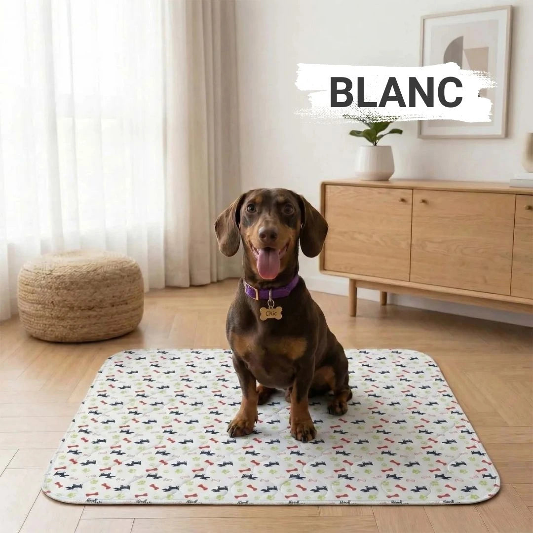 CleanPaw™ – Tapis hygiénique pour chiens et chats