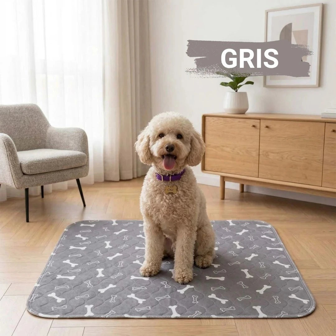 CleanPaw™ – Tapis hygiénique pour chiens et chats