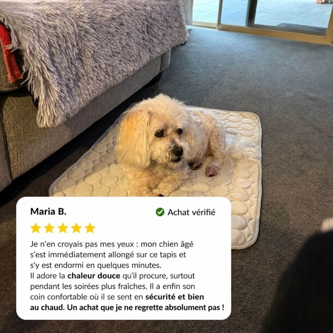 Fresko™ – Tapis rafraîchissant pour animaux