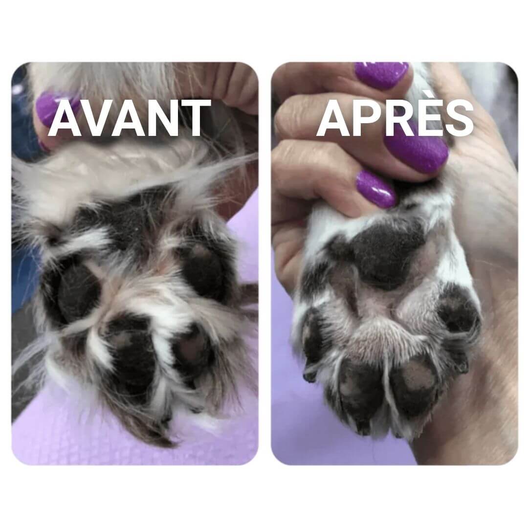 PawTrim™ – Tondeuse pour pattes d’animaux