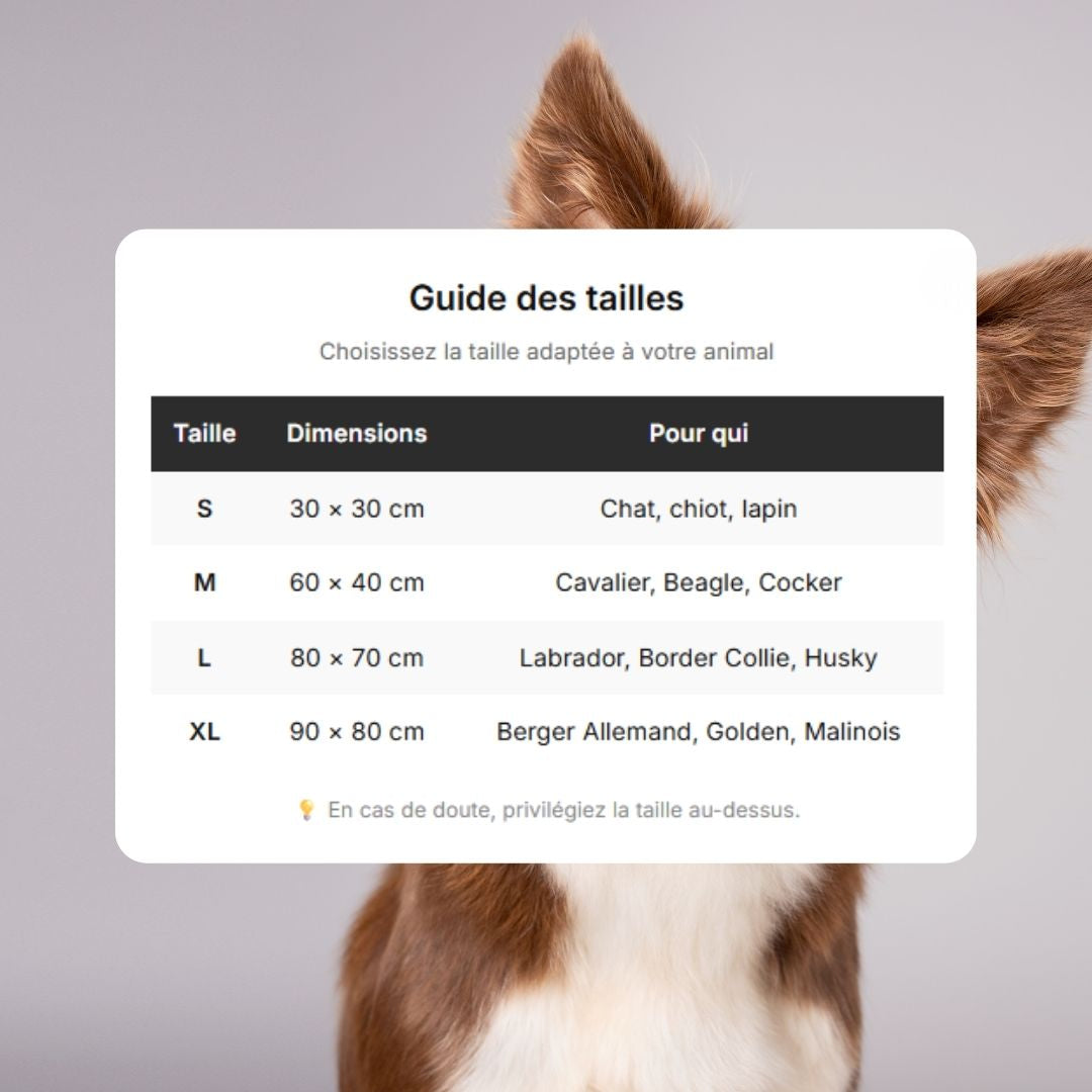 CleanPaw™ – Tapis hygiénique pour chiens et chats