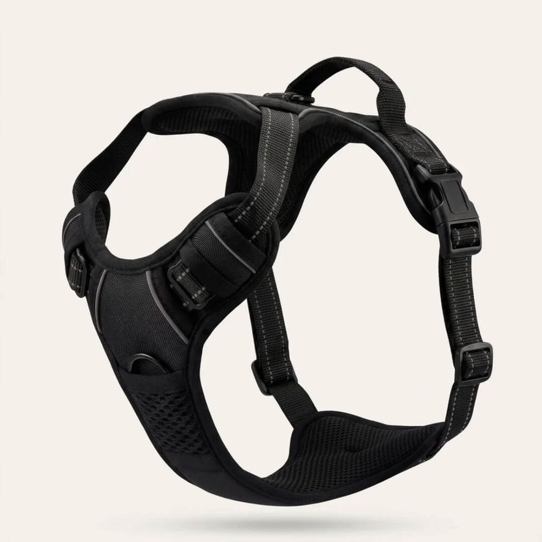 Nexo™ – Harnais anti-traction pour chien