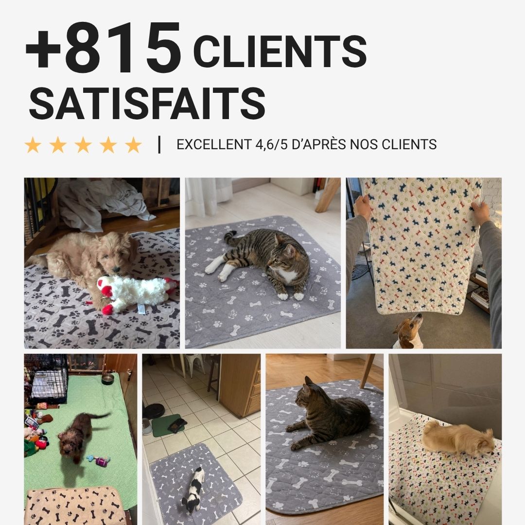 CleanPaw™ – Tapis hygiénique pour chiens et chats