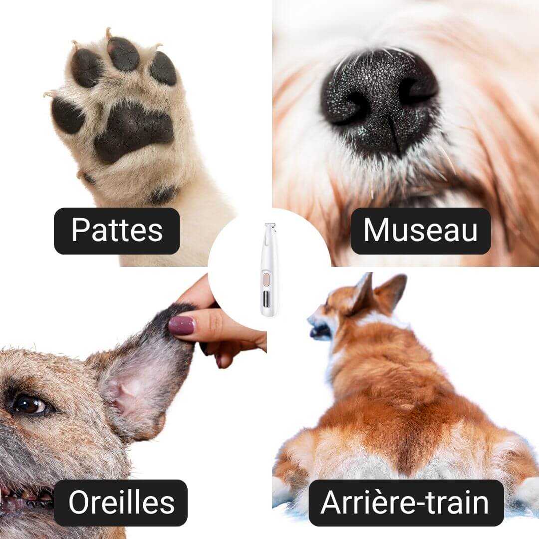 PawTrim™ – Tondeuse pour pattes d’animaux